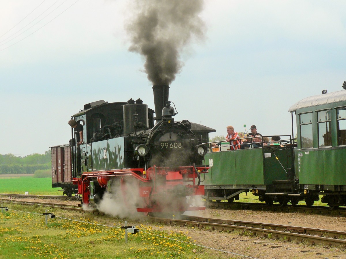 99 608 AM 30.07.2014 IN LINDENBERG BEIM UMSETZEN