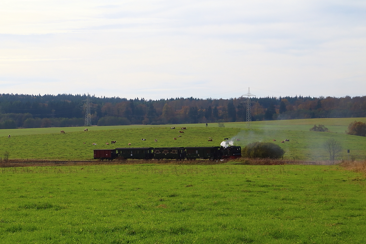 99 6101 beim Zurücksetzen ihres IG HSB-Sonderzuges zur Vorbereitung einer Scheinanfahrt am 18.10.2014 zwischen Stiege und Hasselfelde.