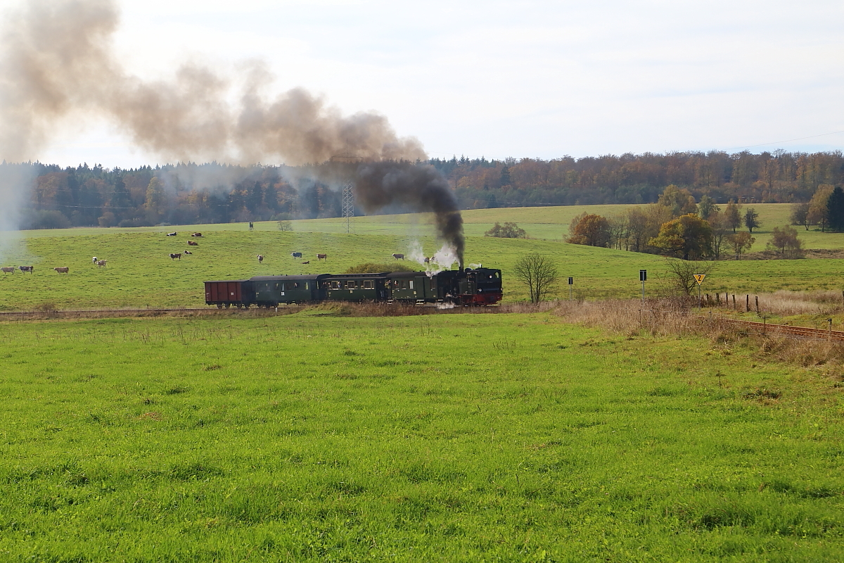 99 6101 mit IG HSB-Sonderzug am 18.10.2014 bei einer Scheinanfahrt auf der Steigung kurz hinter dem Bahnhof Stiege (Strecke Stiege-Hasselfelde). Bild 2