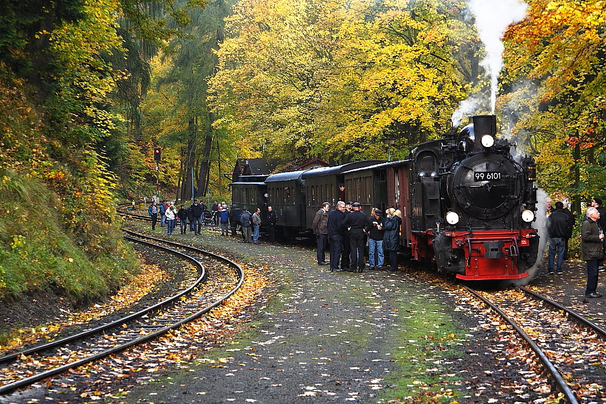 99 6101 mit Sonderzug der IG HSB am 19.10.2013 im Haltepunkt  Steinerne Renne .