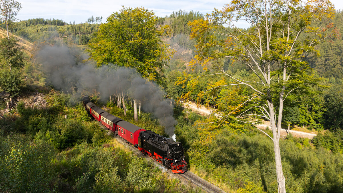 99 7237-3 durchfährt die Landschaft auf dem Weg von Wernigerode nach Drei Annen Hohne kurz vor dem Nordportal des Drängetaltunnels. 7.9.25