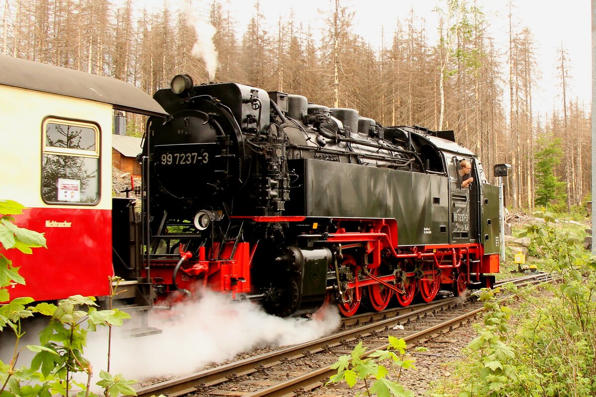99 7237 bei der Ausfahr aus Schierke am 20.05.2022