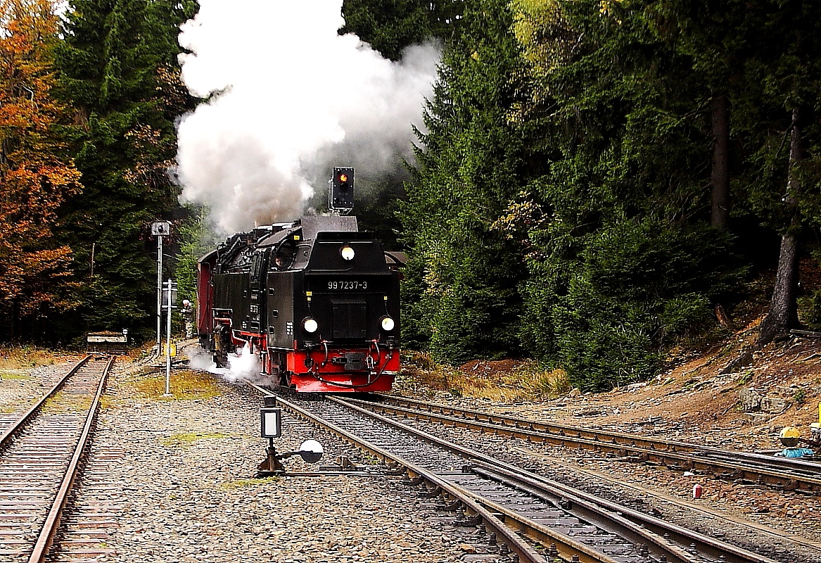 99 7237 mit P8929 aus Richtung Brocken, am Nachmittag des 18.10.2013 bei der Einfahrt in den Bahnhof Schierke. Nach einem kurzen Zwischenstopp geht es weiter in Richtung Nordhausen.