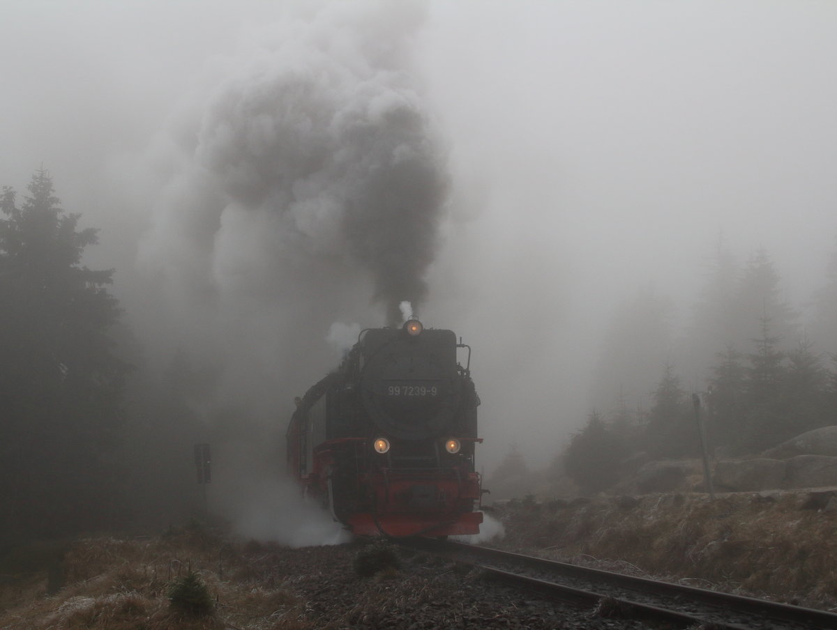 99 7239-9 mit P8925 (Wernigerode  Brocken) quert gleich die Brockenstraße und wird den Brocken dann noch einmal umrunden.

Brockenbahn, 18. Dezember 2016