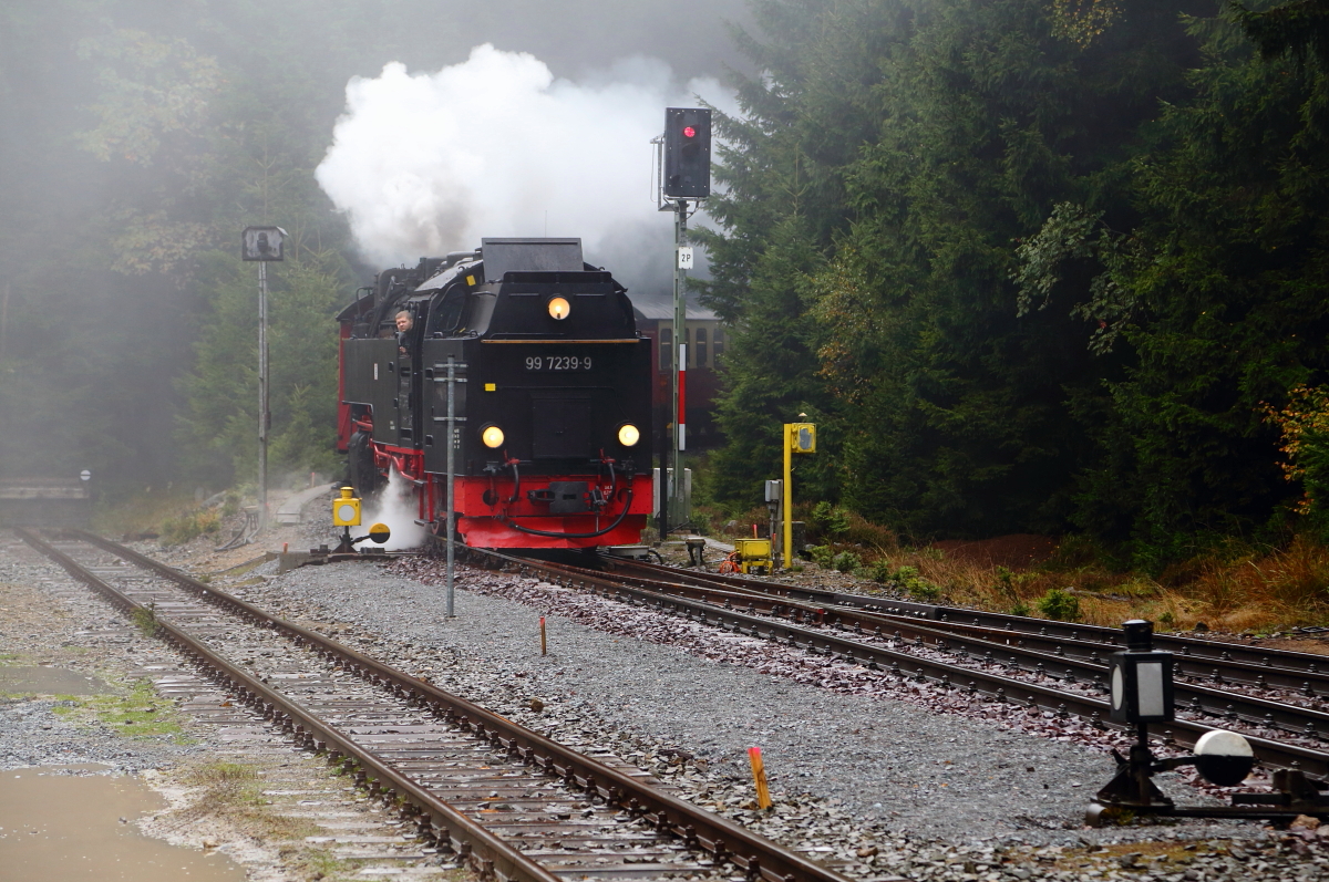 99 7239 mit P 8929 (Brocken-Drei Annen Hohne) am 16.10.2015 bei der Einfahrt in den Bahnhof Schierke. (Bild 1)