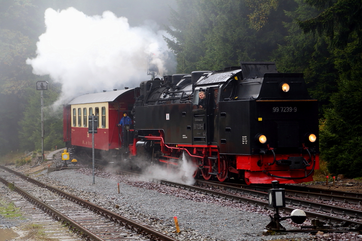 99 7239 mit P 8929 (Brocken-Drei Annen Hohne) am 16.10.2015 bei der Einfahrt in den Bahnhof Schierke. (Bild 2)