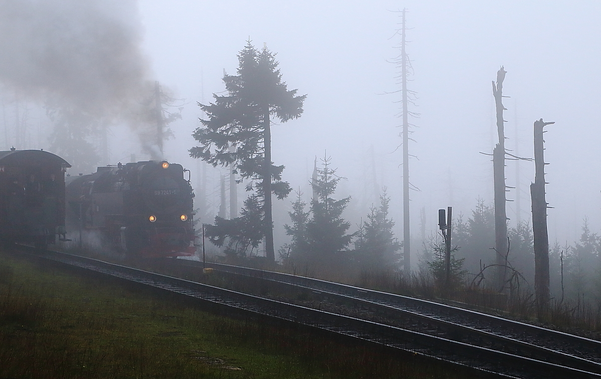 99 7241 mit P8925, am 17.10.2014 auf Bergfahrt zum Brocken, in Höhe der Ausweichstelle  Goetheweg . Der dicke Nebel und die abgestorbenen Bäume lassen die Szene schon fast gespenstisch wirken. In der Tat der ideale Ort für ein Hexen-Treffen! ;-)