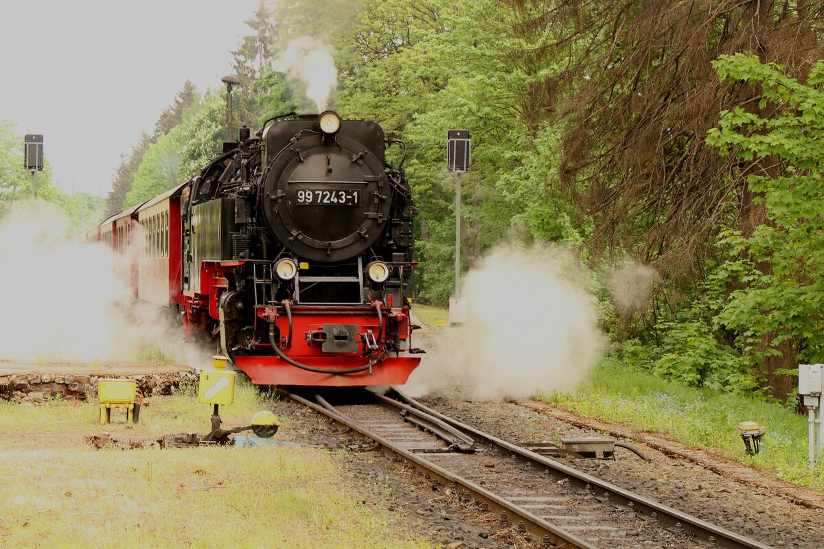 99 7243 macht sich am 20.05.2022 auf den Weg zum Brocken. Aufgenommen in Drei Annen Hohne.