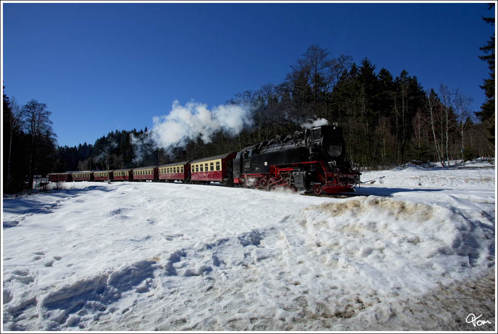 99 7245 fhrt mit Zug 8920 von Nordhausen auf den Brocken, hier bei der Einfahrt in Drei Annen Hohne.  
4.3.2013