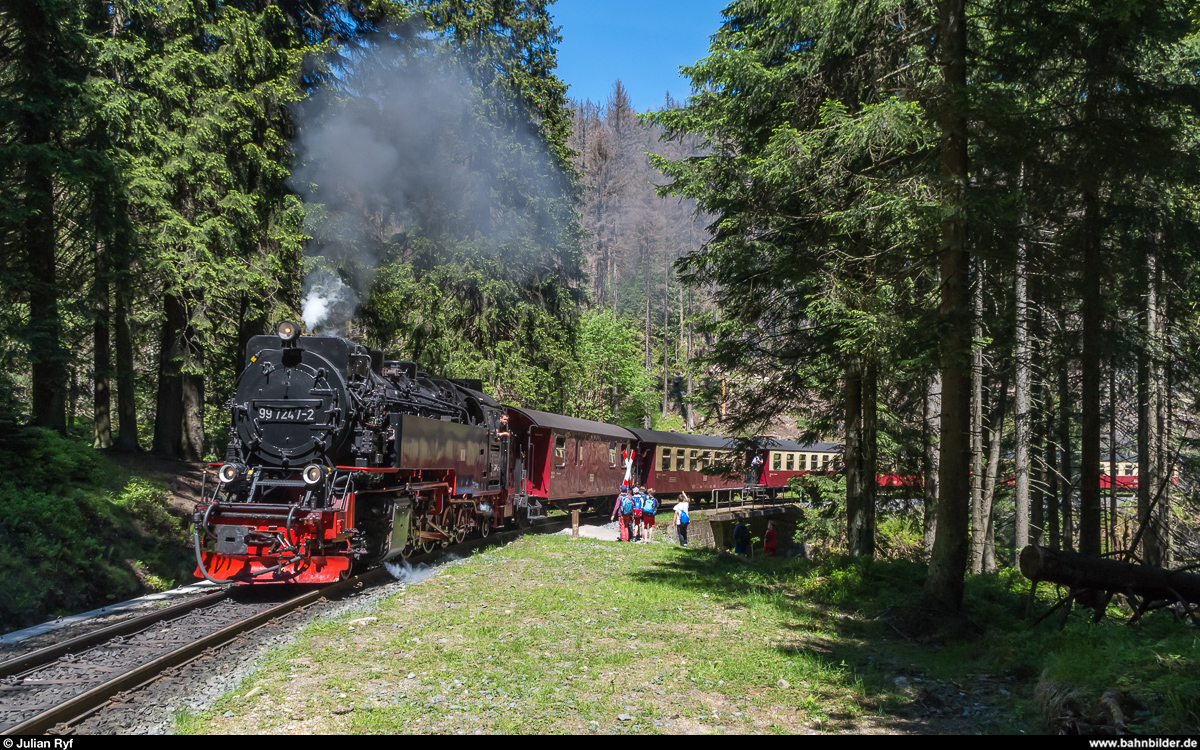 99 7247 mit Zug zum Brocken am 1. Juni 2017 am Bahnübergang Eckerlockweg.