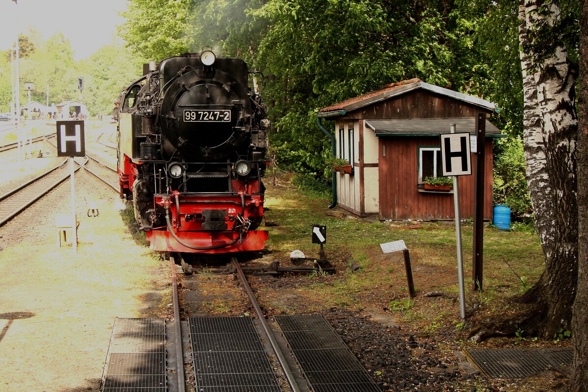 99 7247 setzt sich nach dem Wasserfassen in Drei Annen Hohne wieder vor ihren Zug 21.05.2022