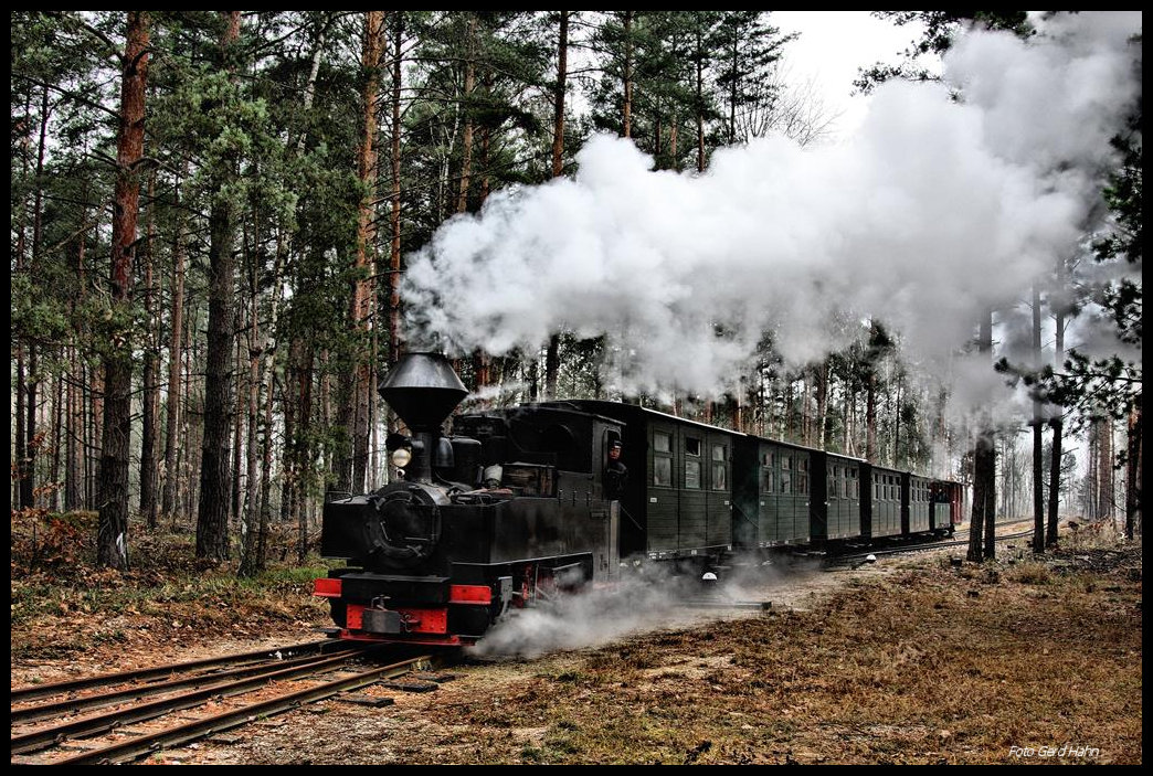 993312 war am 9.12.2016 Zuglok eines von mir organisierten Sonderzuges für die IPA Kreis Steinfurt. Hier ist der Zug bereits wieder unterwegs von Kromlau in Richtung Weißwasser.
