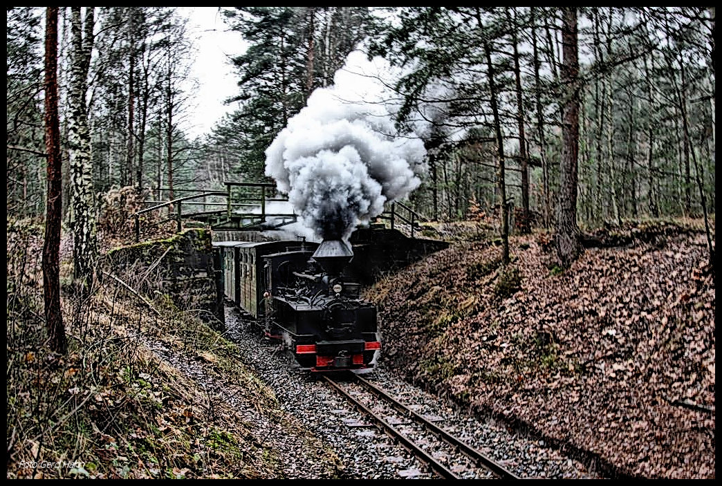 993312 war am 9.12.2016 Zuglok eines von mir organisierten Sonderzuges für die IPA Kreis Steinfurt. Das Programm mit dem Zug sah zwei Fahrten vor. Die erste Fahrt ging über die Strecke Richtung Bad Muskau. Auf der zweiten Tour ist hier der Zug auf der Rückfahrt von Kromlau nach Weißwasser und unterquert die Reste einer ehemaligen Eisenbahnbrücke im Wald nahe Weißwasser.