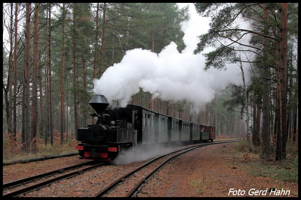 993312 war am 9.12.2016 Zuglok eines von mir organisierten Sonderzuges für die IPA Kreis Steinfurt. Letzter Fotohalt auf dem Streckenstück Kromlau - Weißwasser kurz vor dem Endbahnhof.