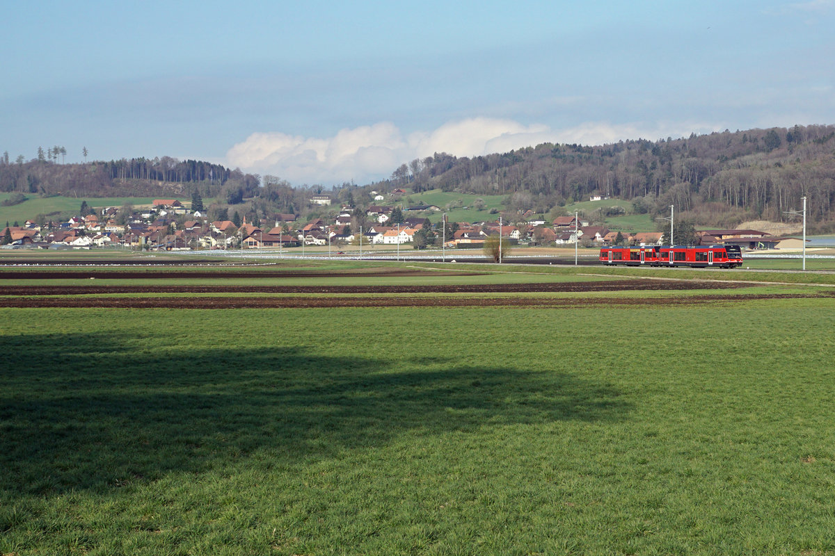 Aare Seeland mobil/ASm.
Be 2/6 in Doppeltraktion im Seeland zwischen Siselen und Brüttelen unterwegs am 15. April 2021.
Foto: Walter Ruetsch