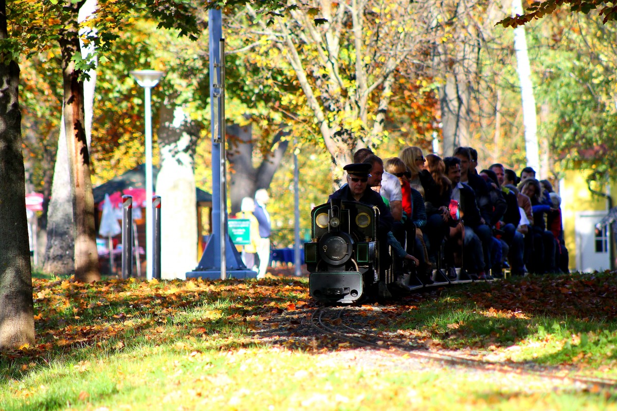 AB-Dampfen hie es am 26.Oktober 2013 beim Dampfbahnclub Graz. 