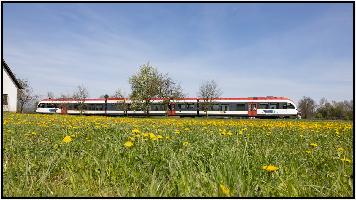 Ab ins Gelbe ,..... 

Ein Zug der Linie S61 bei Freidorf im Sulmtal.
24.04.2021