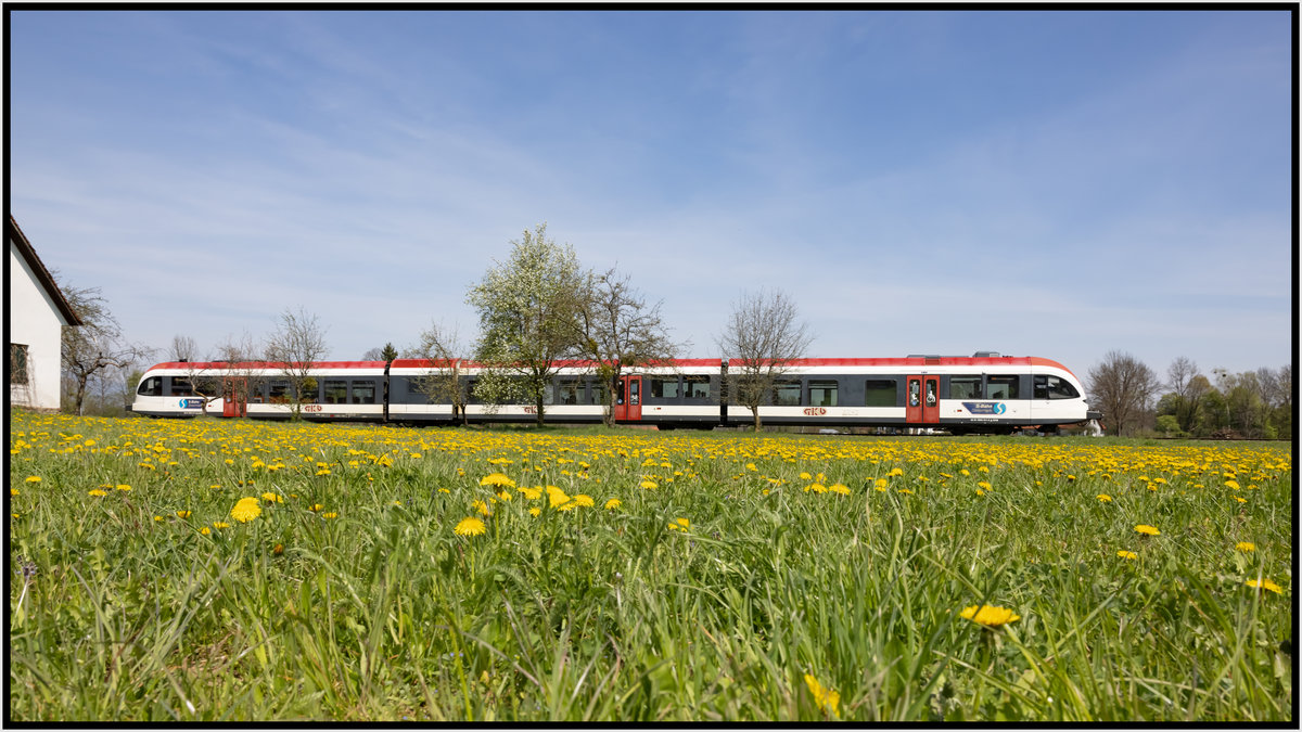 Ab ins Gelbe ,..... 

Ein Zug der Linie S61 bei Freidorf im Sulmtal.
24.04.2021