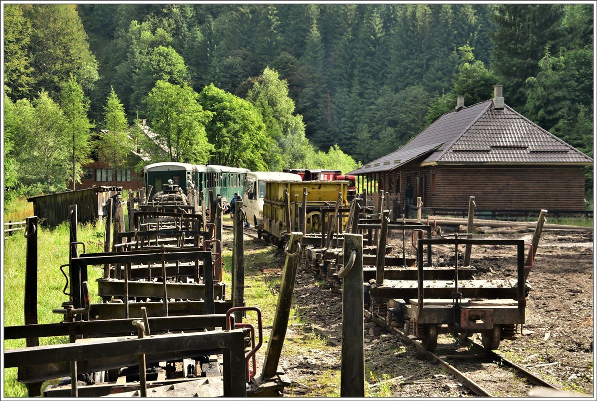 Ab dieser Station war das Freiluftfahren vorbei, denn es wurde ein Raupenbagger auf den Flachwagen verladen. (12.06.2017)