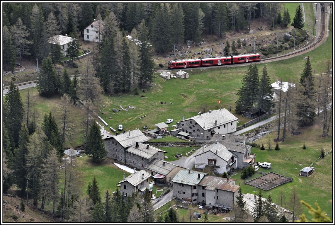ABe 8/12 3511 als R4648 nach St.Moritz passiert den Weiler Cavaglia Richtung Alp Grüm. (06.05.2020)