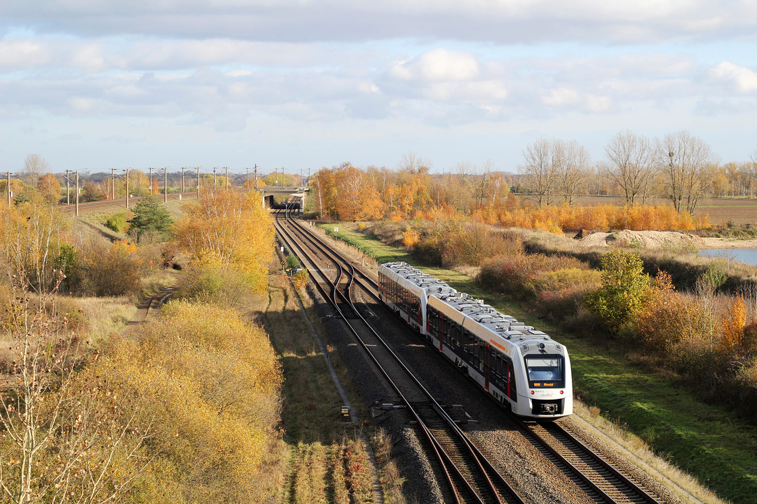 Abellio Rail Mitteldeutschland 1648 423 // Oebisfelde // 12. November 2019