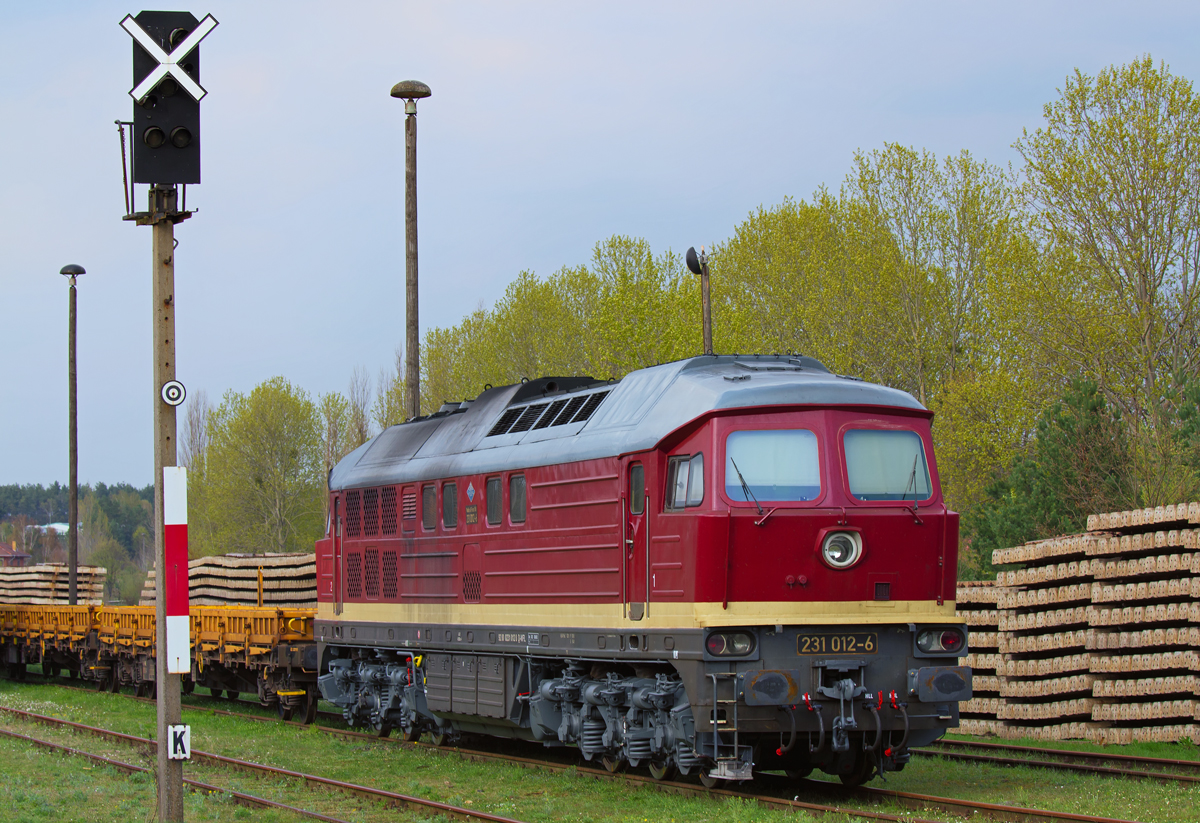 Abgestellte WFL-Lok 92 80 0231 012 8 auf dem Süd-Bahnhof in Neustrelitz mit seinem ausgekreuzten Signal. - 29.04.2013