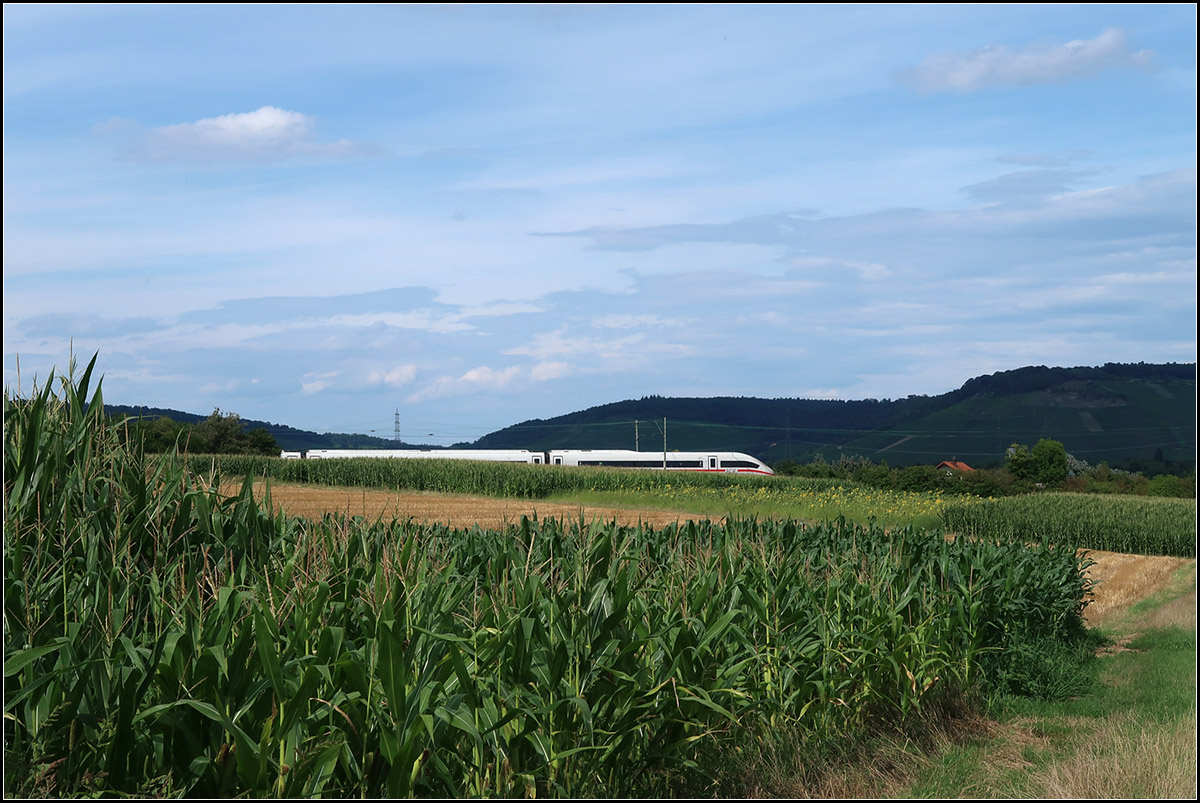 Abgetaucht in die Landschaft -

... zwischen Maisfeldern und den im Schatten liegenden Weinbergen des Remstales. Umgeleiteter ICE 4 auf der Remsbahn bei Weinstadt-Endersbach.

09.08.2019 (M)