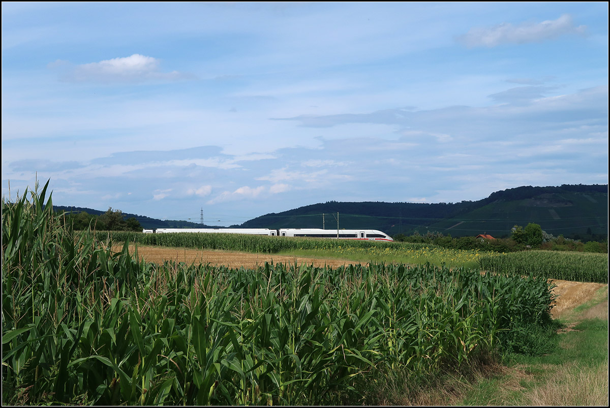 Abgetaucht in die Landschaft -

... zwischen Maisfeldern und den im Schatten liegenden Weinbergen des Remstales. Umgeleiteter ICE 4 auf der Remsbahn bei Weinstadt-Endersbach.

09.08.2019 (M)