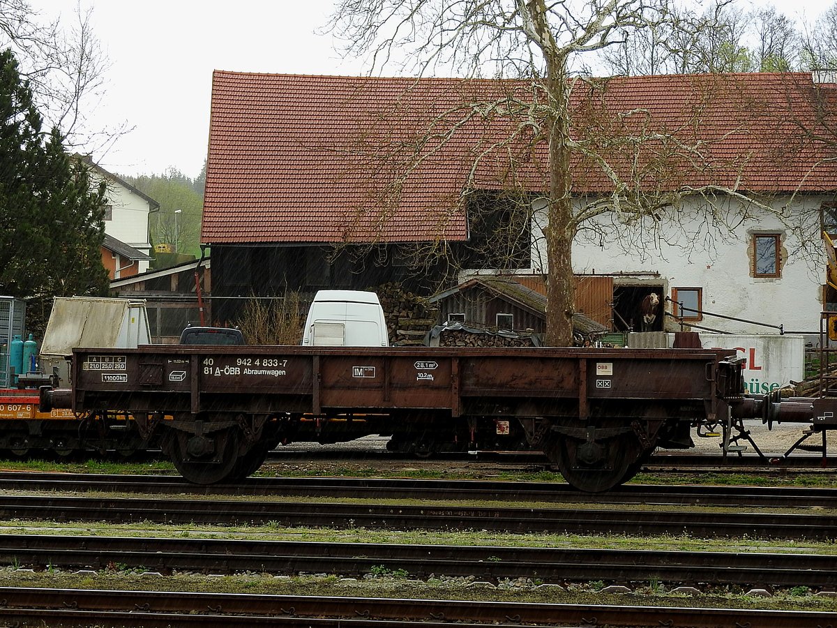 Abraumwagen 40 81 9424833-7 wartet bei strömenden Regen auf den nächsten Bauzugeinsatz, sogar die Kuh im Hintergrund harrt dem besseren Wetter entgegen; 180413