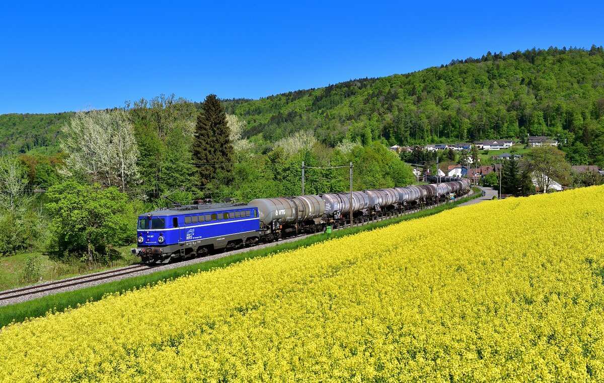 Ae 1042 007 mit einem Kesselzug am 28.04.2022 bei Sulz.