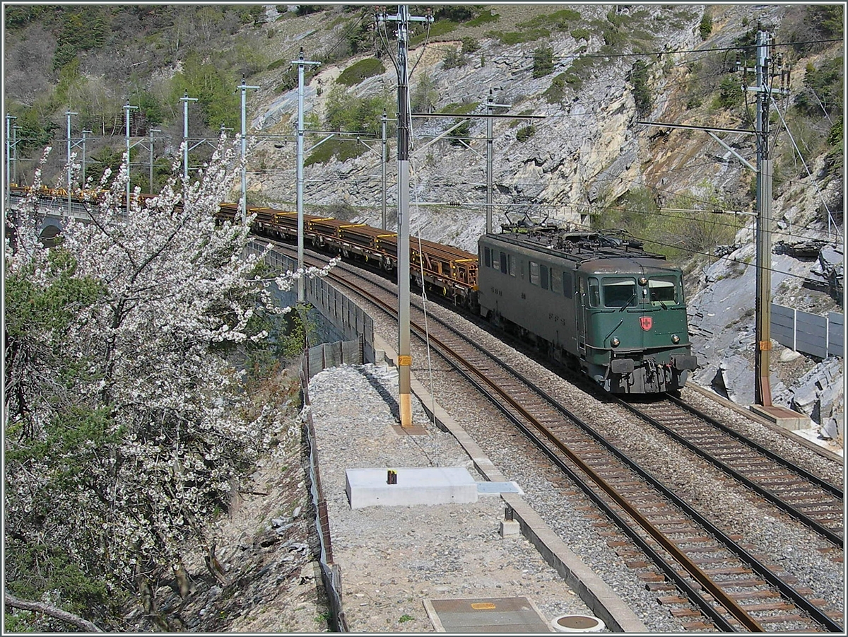 Ae 6/6 auf dem Luogelkinn Viadukt bei Hohtenn.
2. Mai 2006
