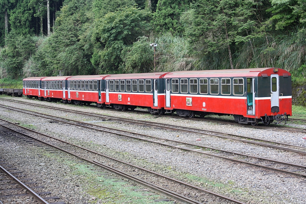 AFR C8307, C8303, C8304, C8305 und C8xxx am 04.Juni 2014 in der Alishan Station.