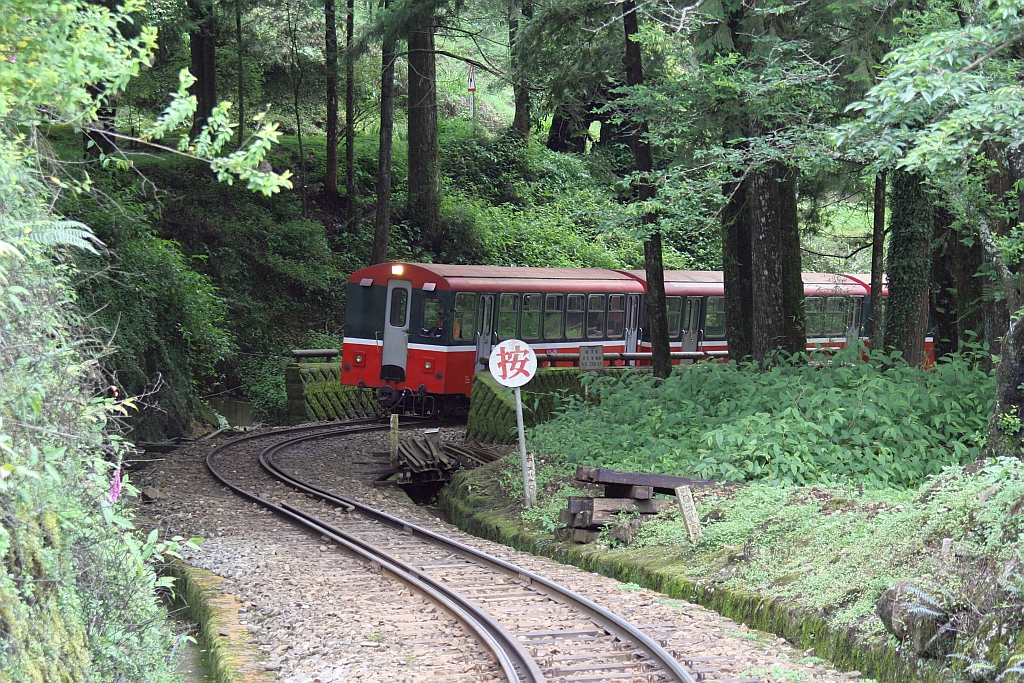 AFR C8402 am 05.Juni 2014 als erster Wagen von Zug 33 auf dem Weg von der Alishan Station zu der Chaoping Station.