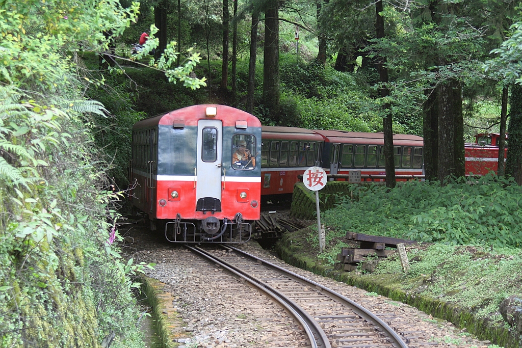 AFR C8402 am 05.Juni 2014 als erster Wagen von Zug 33 auf dem Weg von der Alishan Station zu der Chaoping Station.