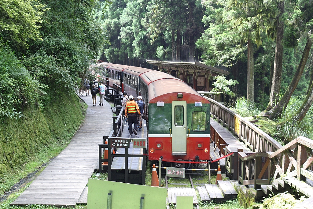 AFR C8502 am 04.Juni 2014 in der Sacred Tree Station.
