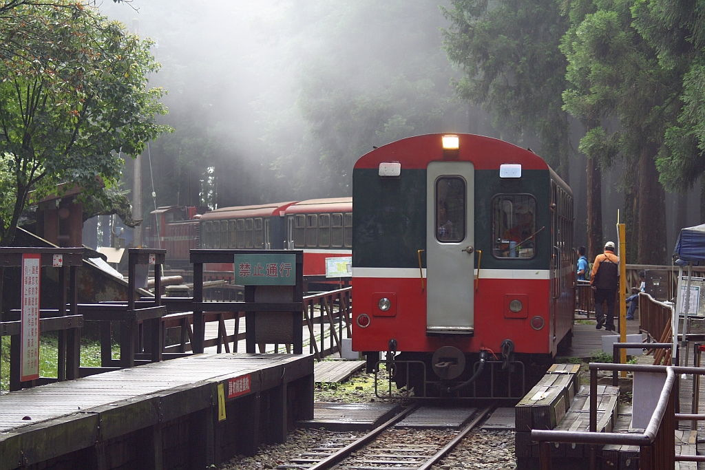 AFR C8502 fährt am 04.Juni 2014 in die Sacred Tree Station.
