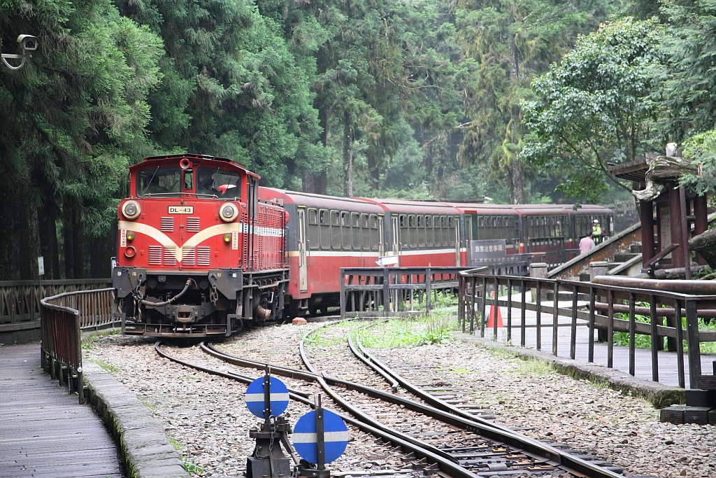 AFR DL43 (B'B', dh, Nippon Sharyo, Bj.1982, Fab.Nr. 3374) fährt am 05.Juni 2017 mit Zug 122 in die Shenmu Station ein.