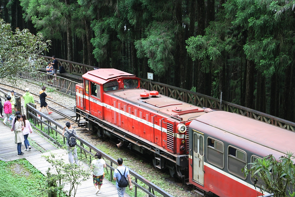 AFR DL43 (B'B', dh, Nippon Sharyo, Bj.1982, Fab.Nr. 3374) am 06.Juni 2017 in der Shenmu Station vor Zug 111.