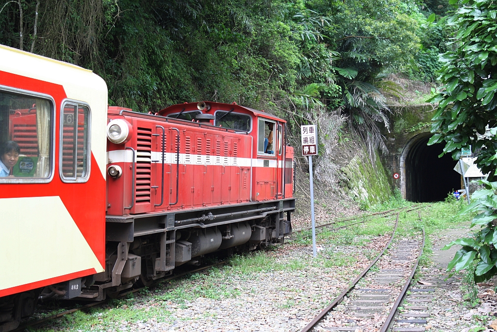 AFR DL46 am 06.Juni 2014 mit Zug 2 beim Halt in der Dulishan Station.