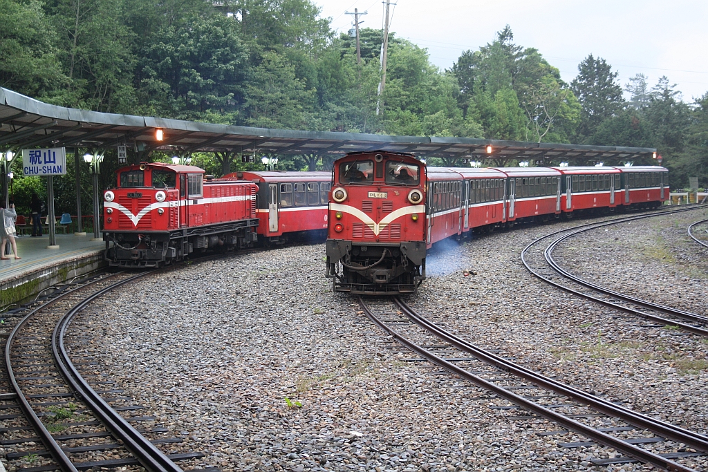 AFR DL50 und DL43 am Morgen des 05.Juni 2014 in der Chushan Station.