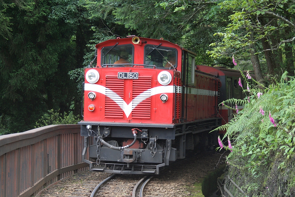 AFR DL50 schiebt am 05.Juni 2014 Zug 33 von Alishan Station zur Chaoping Station.