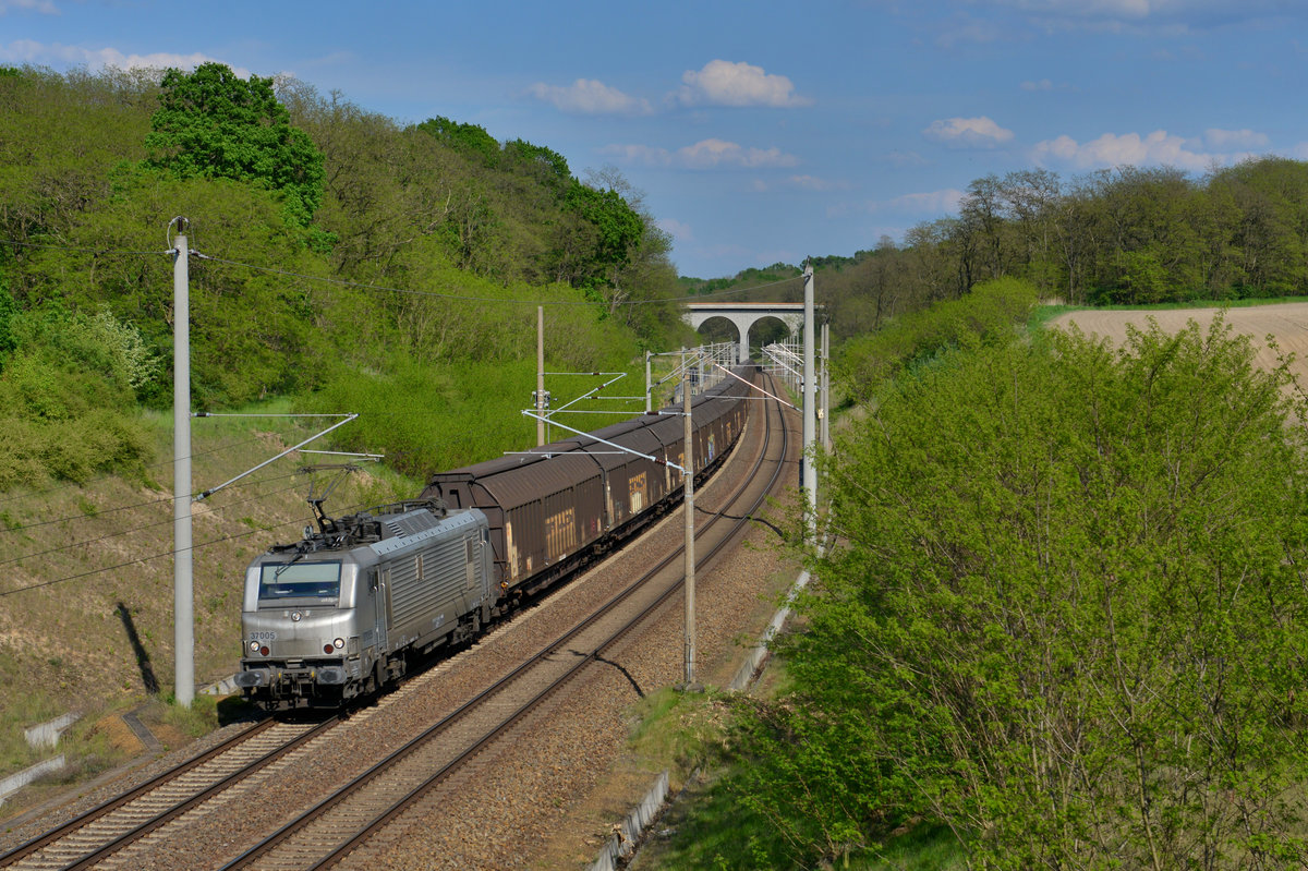 Akiem 37005 (437 005) mit einem Schiebewandwagenzug am 11.05.2016 bei Frankfurt-Rosengarten. 