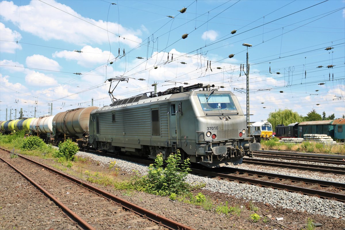 Akiem 37016 beim Sommerfest im DB Museum Koblenz Lützel am 22.06.19. Von einen Gehweg aus fotografiert. Die Bundespolizei hat die Fotografen überwacht damit nichts passiert