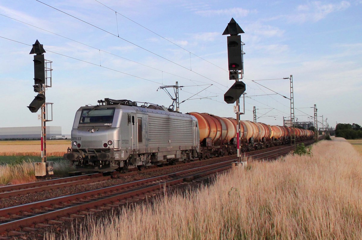 Akiem 37022 mit einem Kesselzug in den Abendstunden des 17. Juni 2015 auf der Riedbahn bei Stockstadt am Rhein.