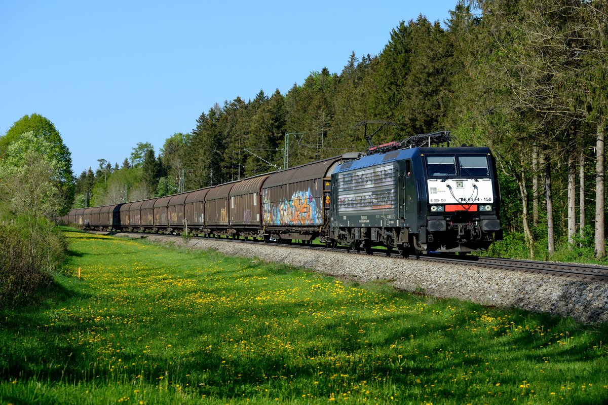 Aktuell für Lokomotion im Einsatz ist die MRCE ES 64 F4 - 150 mit ihrer Seitenwerbung für das Unternehmen Loc & More, welches sich mit der künstlerischen Dekoration von Eisenbahnfahrzeugen beschäftigt. Am 08. Mai 2016 konnte sie vor dem sogenannten  Boschzug  DGS 46658 nach München Nord beobachtet werden, der aufgrund von Bauarbeiten über die Mangfalltalbahn umgeleitet wurde. Die Aufnahme entstand im Wald zwischen Fellach und Kreuzstrasse.