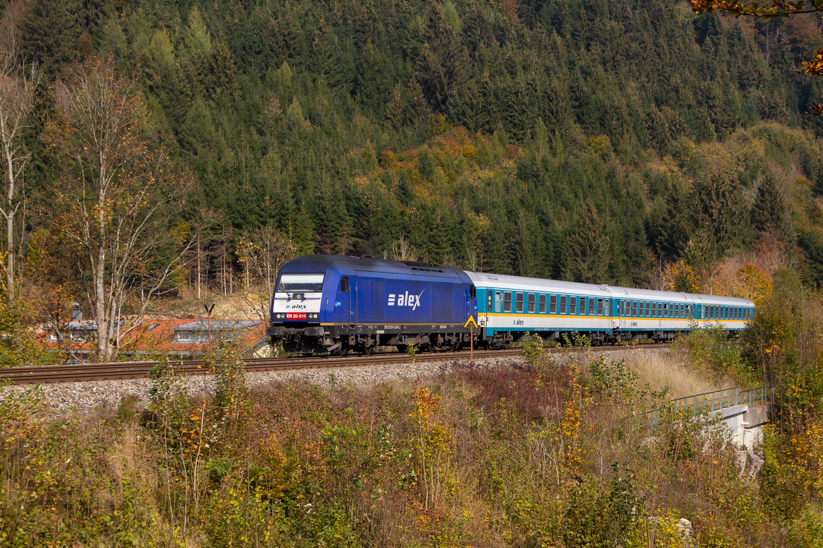 Alex auf dem Weg nach Lindau kurz vor Oberstaufen. 19.10.18