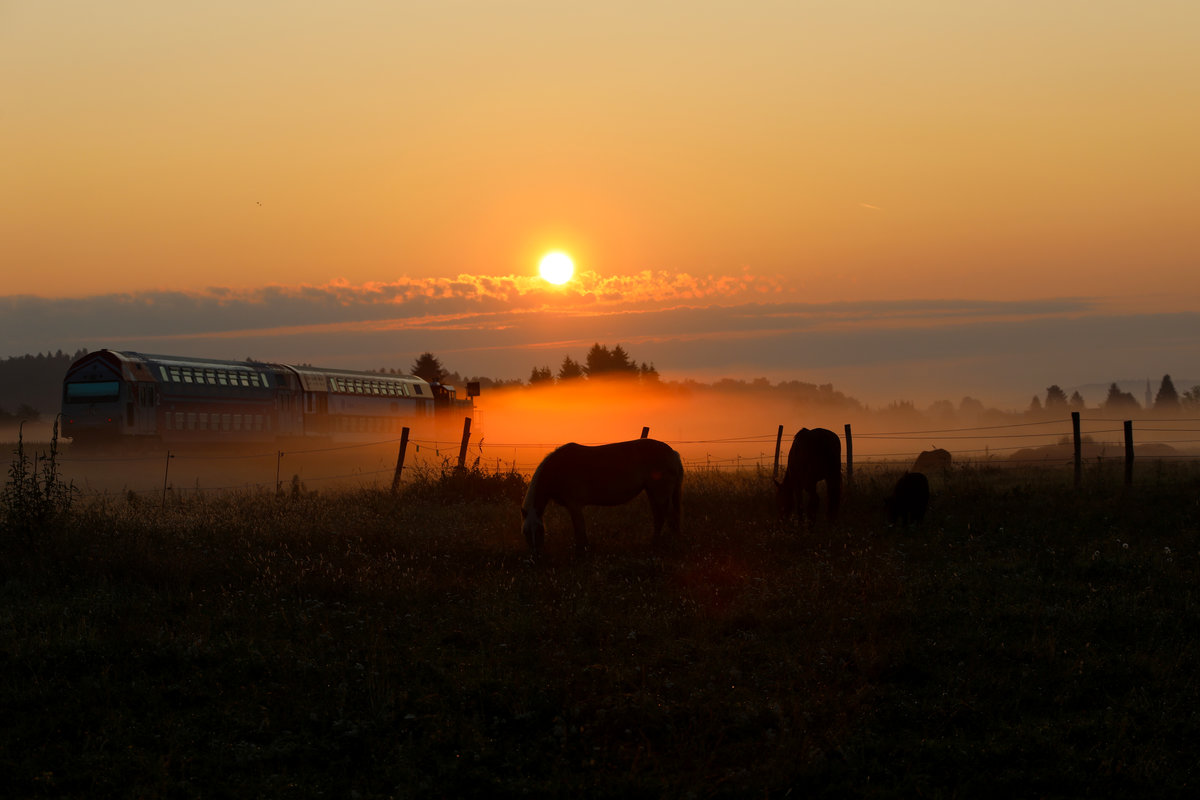 Alles Glück der Erde liegt auf dem Rücken der Pferde,.... 
29.08.2018
