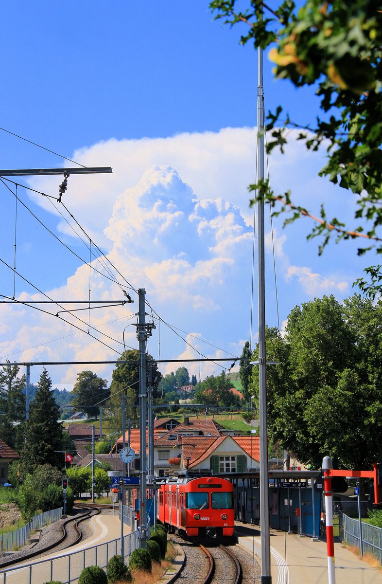 Alles strebt in die Vertikale -  Mandarinli  59 in der Station Boll-Utzigen. 22.August 2018 