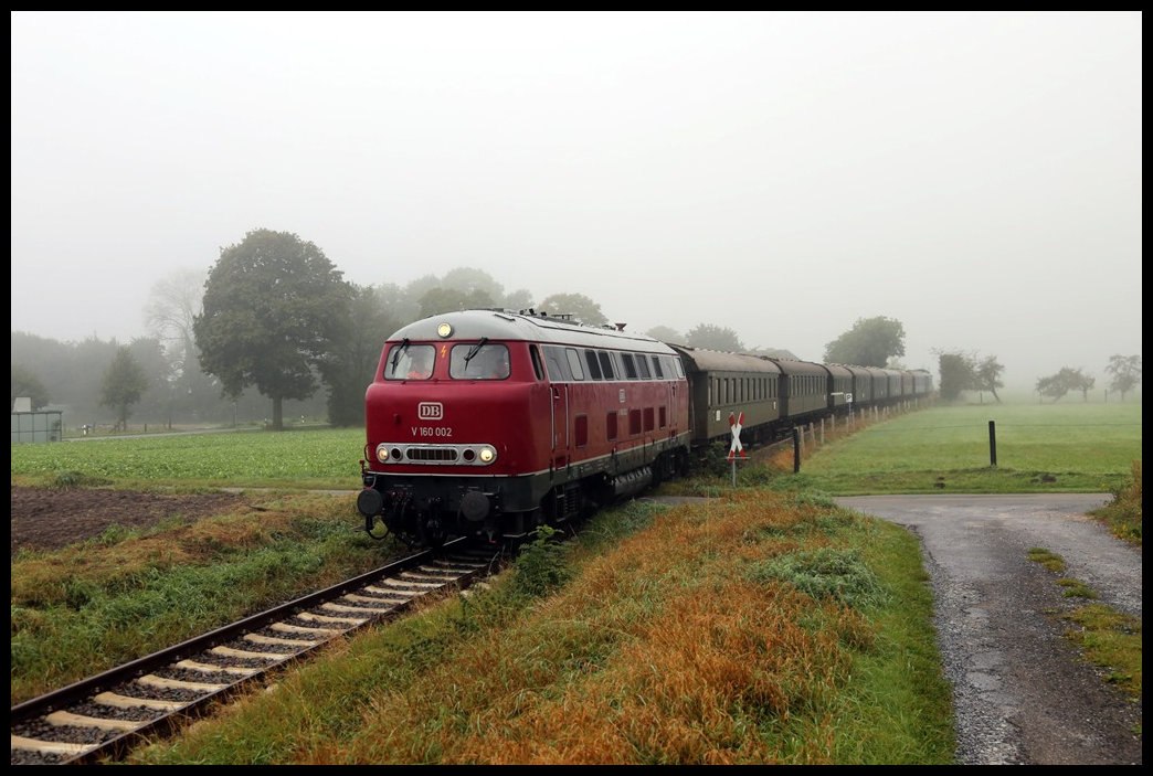 Als Aushilfe für die noch nicht fertige Dampflok 78468 war am 29.09.2024 die Lollo V 160002 vor dem Teutoexpress im Einsatz auf der Teutoburger Wald Eisenbahn. An diesem Tag standen bei Eisenbahn Tradition Pendelfahrten zwischen Lengerich und Bad Laer auf dem Programm. Bei der ersten Tour herrschte teilweise noch dichter Nebel. Aber auch der hat so seinen Reiz, wie ich meine. In der Bauernschaft Lienen - Büggelieht hielt ich den Zug um 10.28 Uhr auf der Fahrt nach Bad Laer im Bild fest.