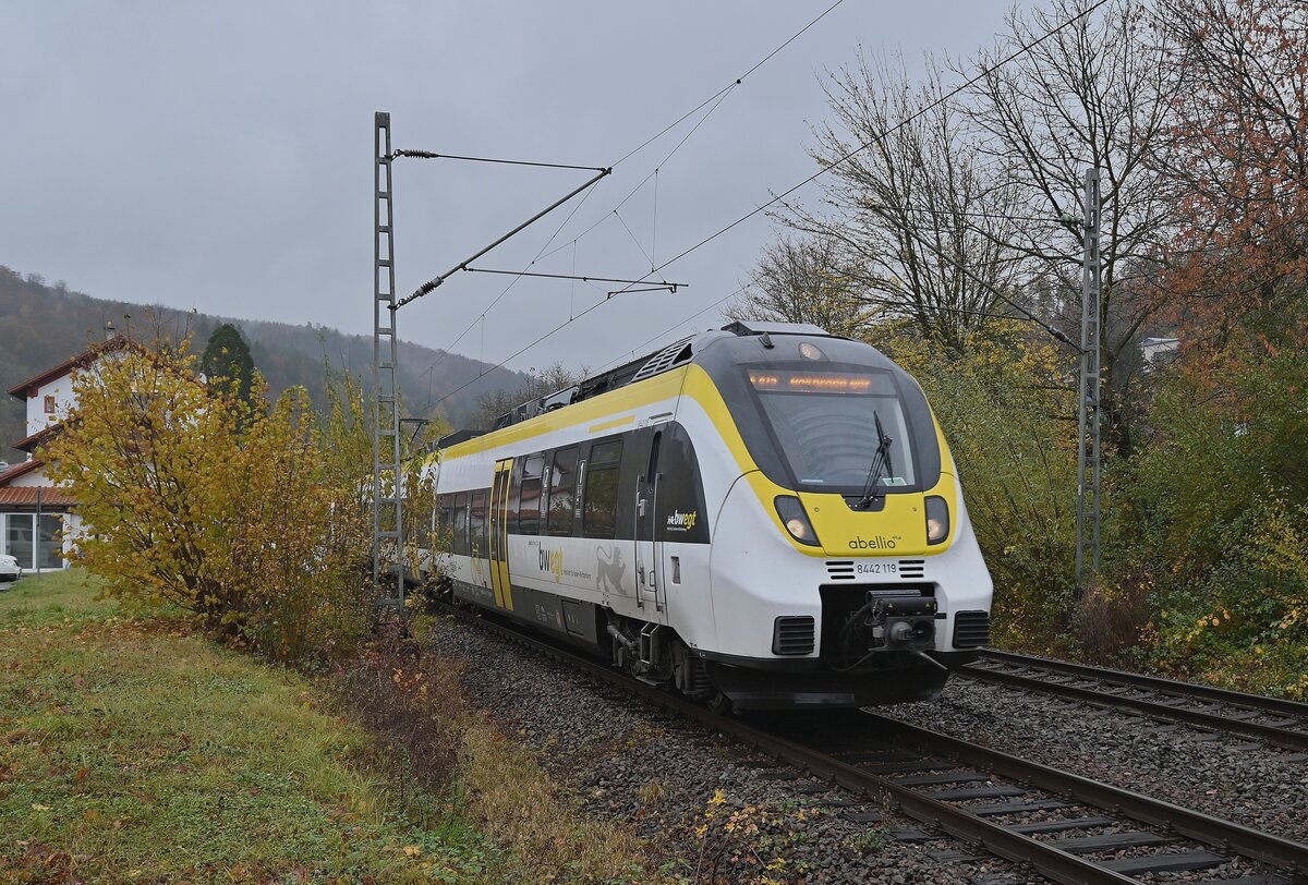 Als Doppeleinheit kommen 8442 119 und 8442 107 als Mittags RE 10a gen Heilbronn gefahren. 4.11.2021